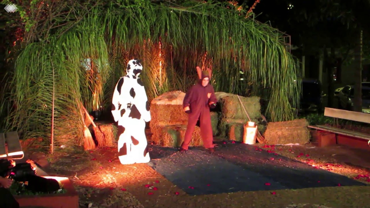 Teatro - O Boi e o Burro a Caminho de Belém (Dezembro/2015)
