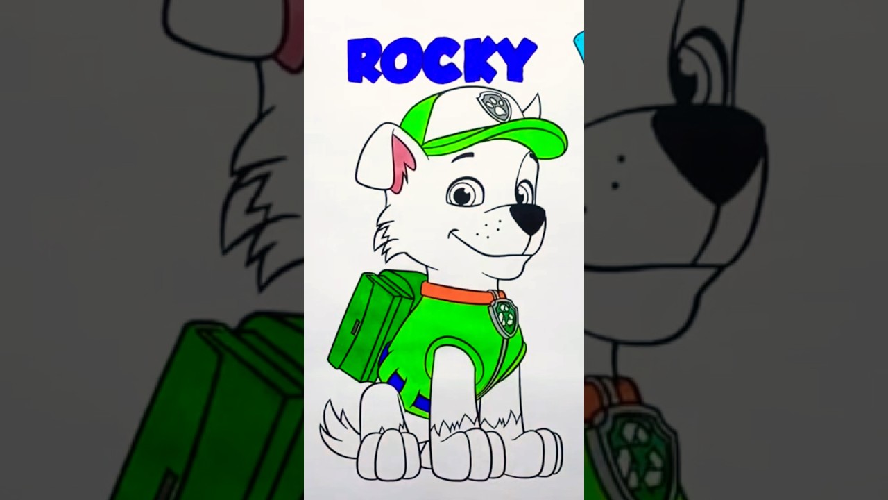 Rocky Pup Paw Patrol #shorts #short #shortvideo #shortsvideo #shortsviral #viralshorts #shortsfeed