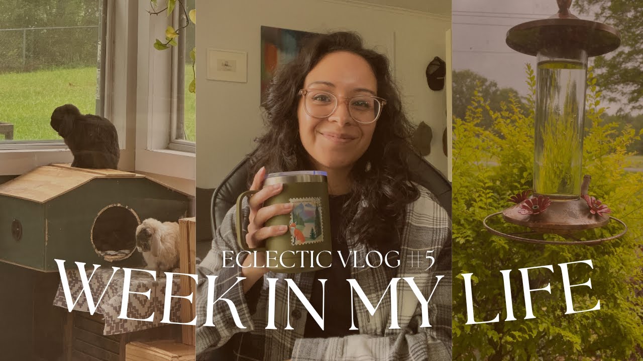 My Week-long Adventure: A Sneak Peek into My Everyday Life!