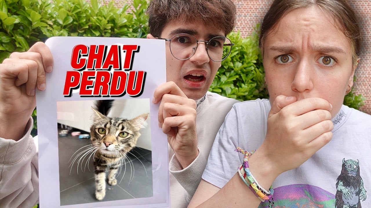 UN VOLEUR DE CHATS EST RENTRÉ CHEZ NOUS ! NOS CHATS ONT DISPARU ! - PINK LILY