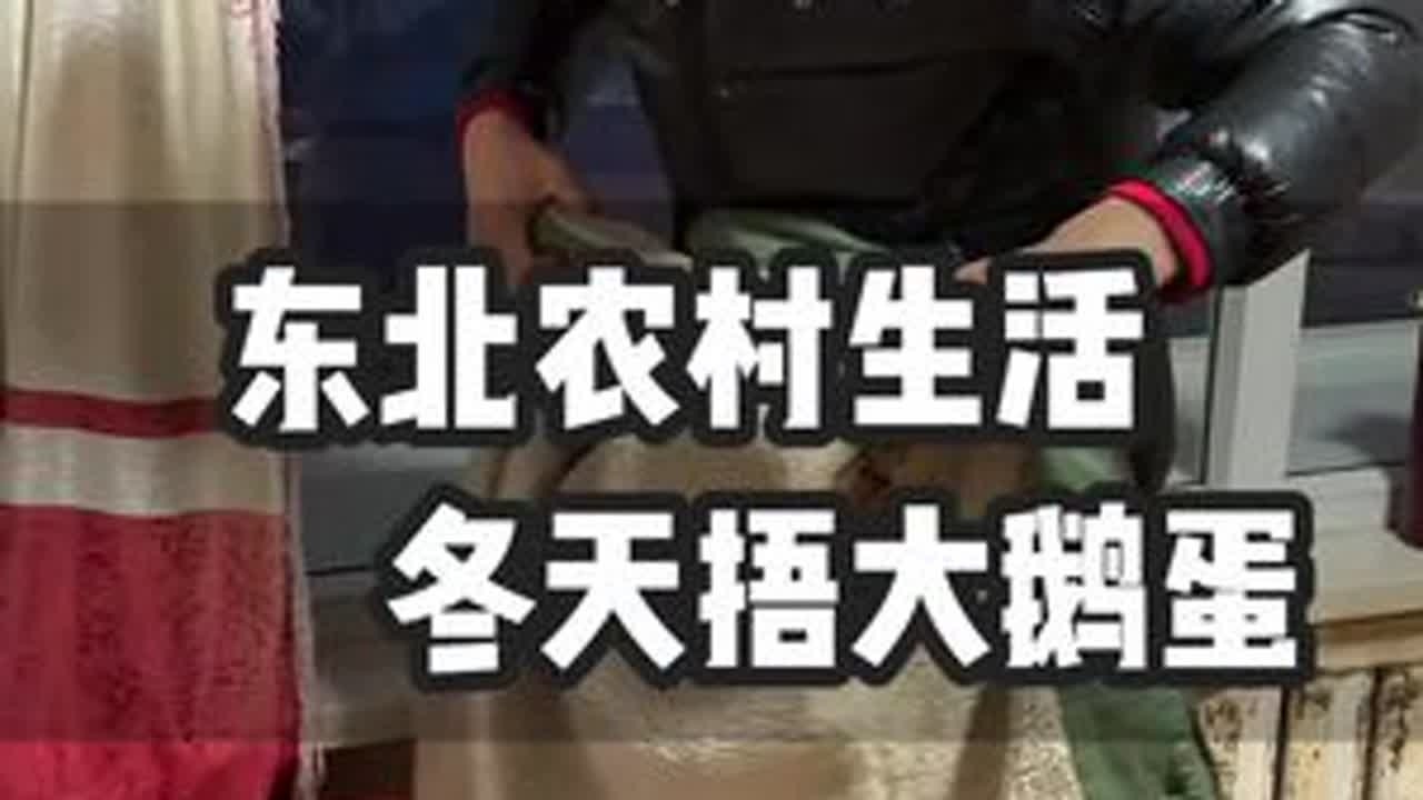 #日常vlog #记录我的农村生活#孵化
