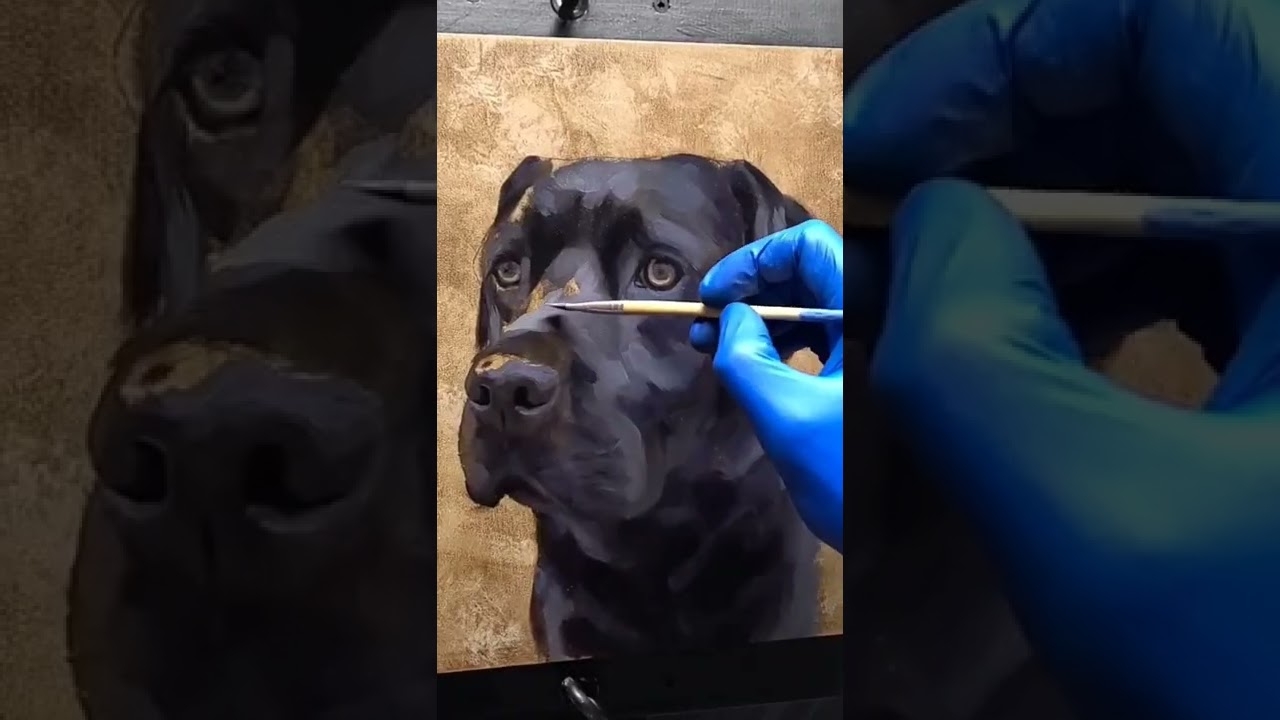 Как нарисовать портрет домашнего животного 🐕🎨