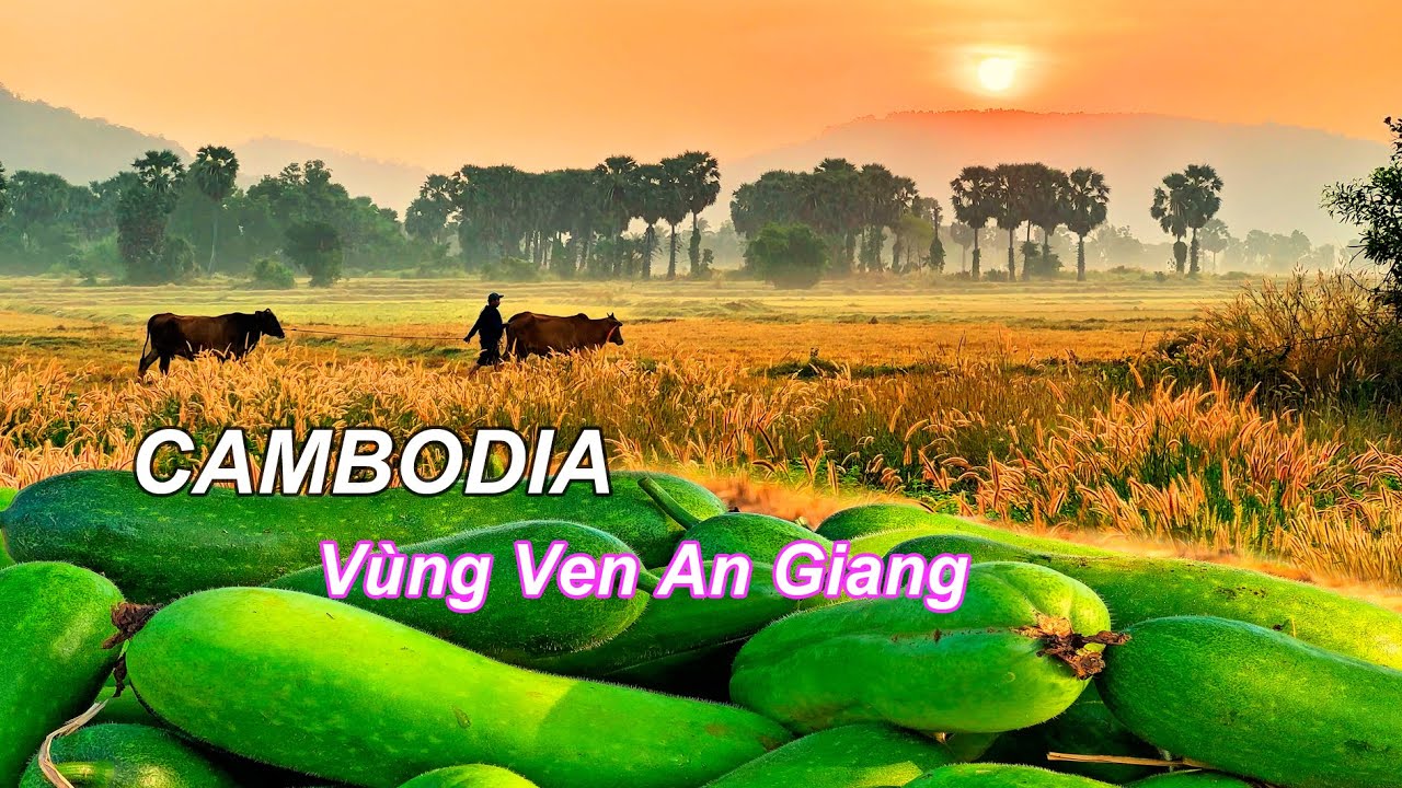 Việt Nam - CAMBODIA Vùng Ven Chợ Sớm