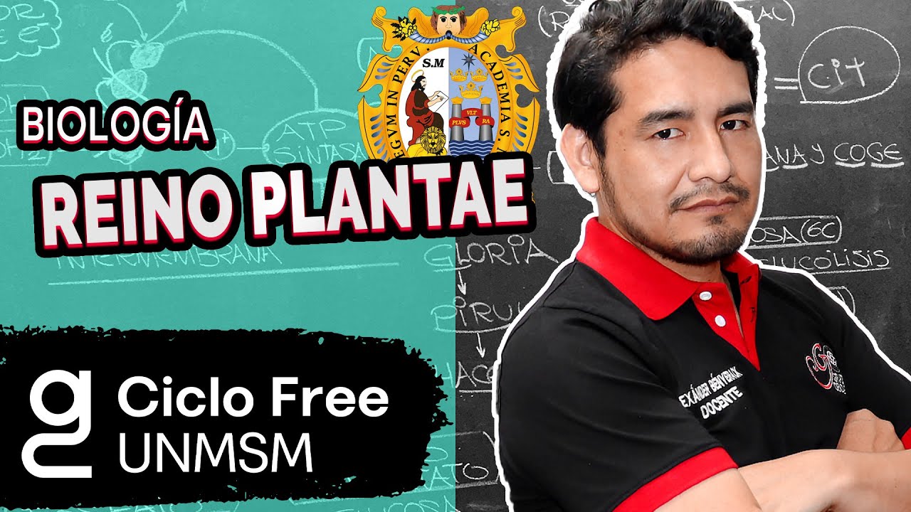BIOLOGÍA - Reino plantae | Parte 1 [CICLO FREE]