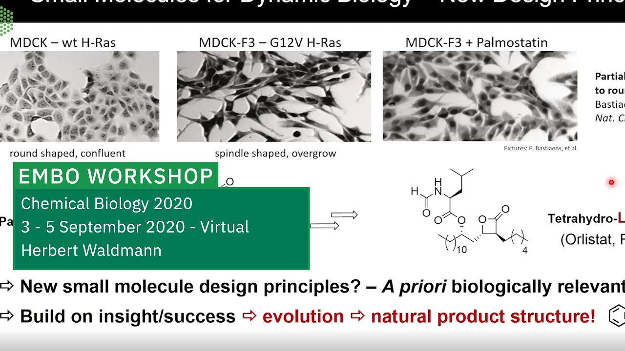 Keynote Lecture: Pseudo Natural Products – Chemical Evolution of Natural Product Structure