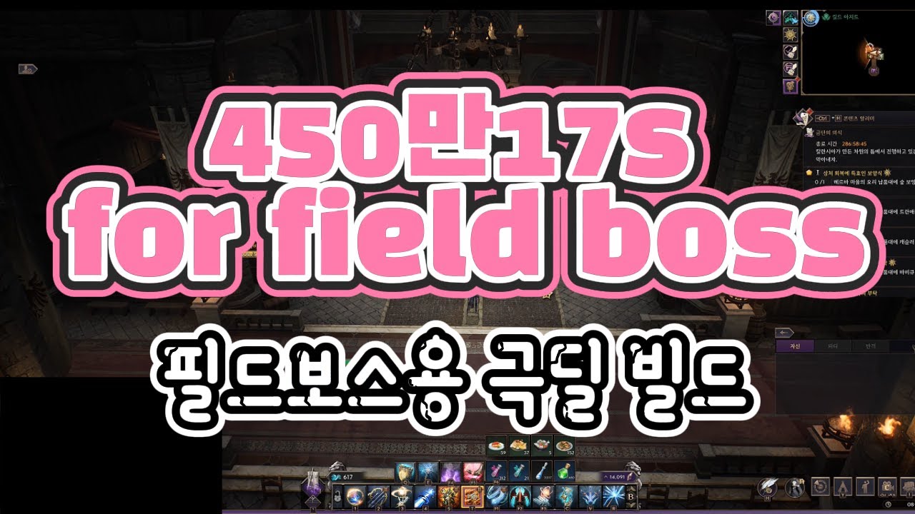 17초450만, 필드보스용 극딜 빌드 17s, 4.5M damage - Field boss extreme DPS build | TL