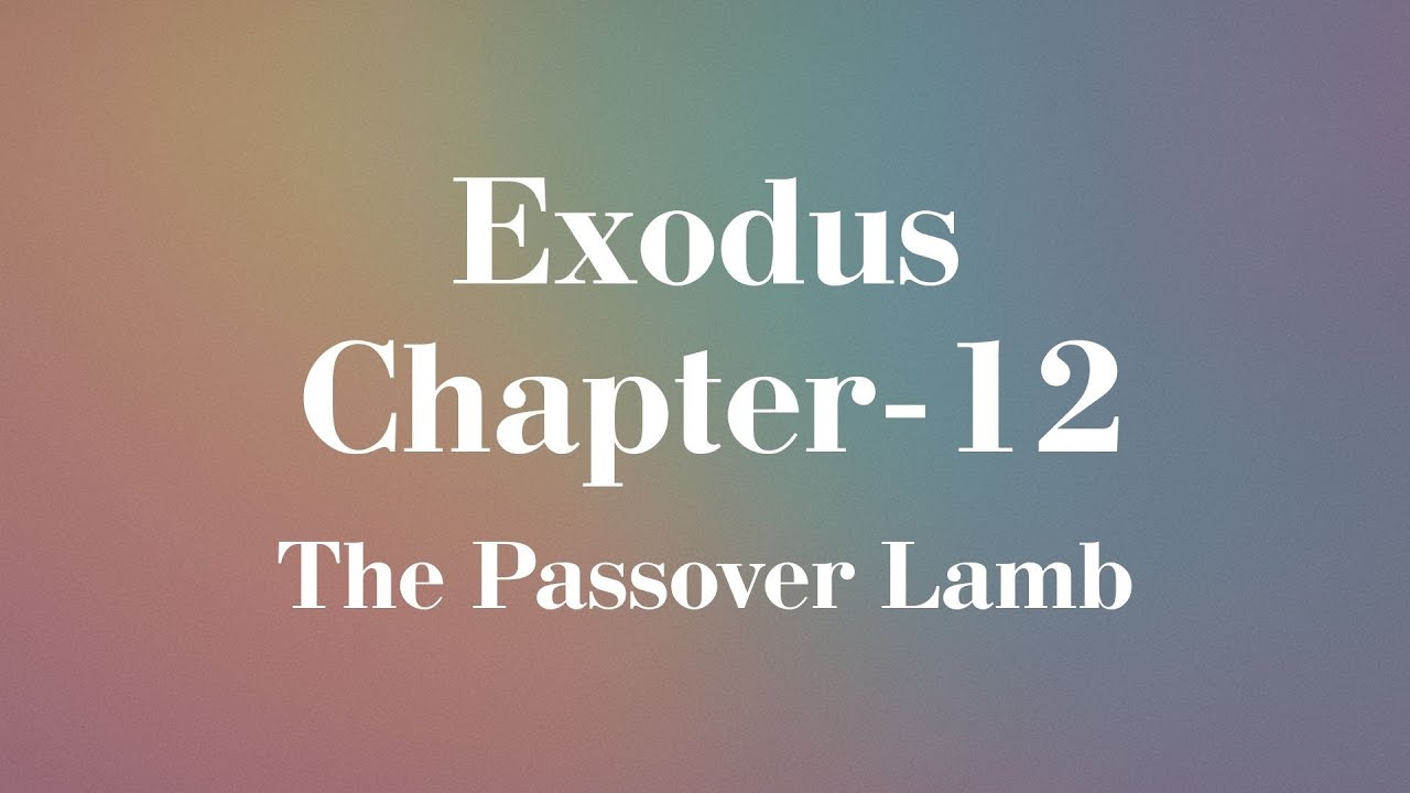 📖 Amplified Bible: Exodus Chapter 12 | Complete Reading