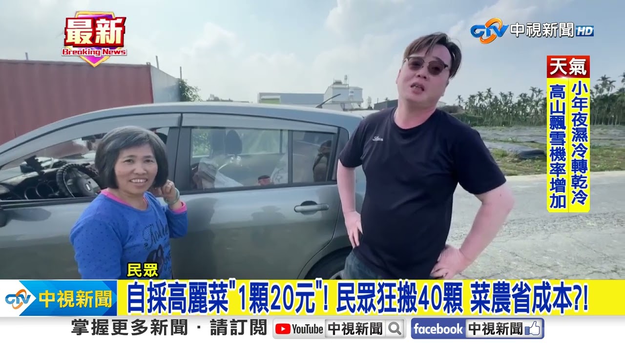自採高麗菜