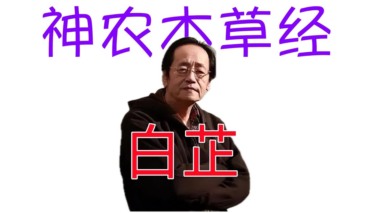 倪海廈《神農本草經》細分版： 173白芷、芳香、虈