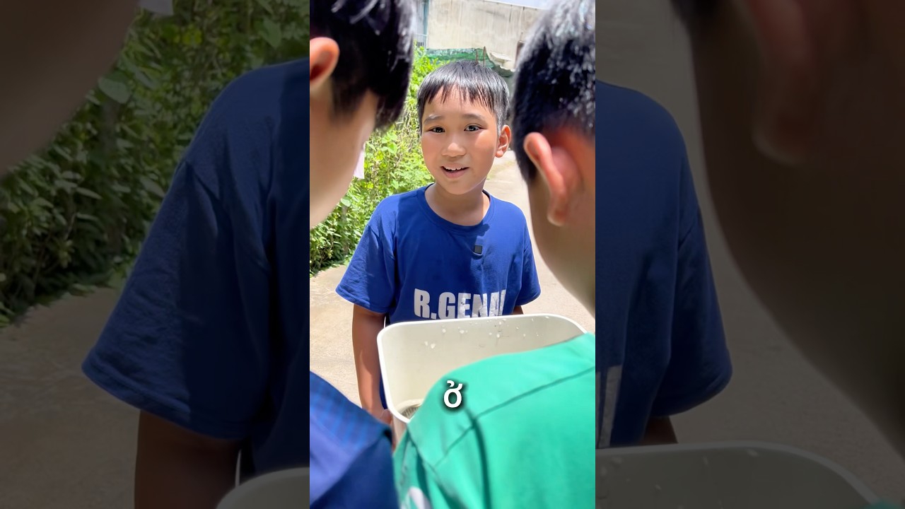 Đổi c&aacute; N&oacute;c lấy c&aacute; betta #bettasales #ngocdiemaquarium #baoiba