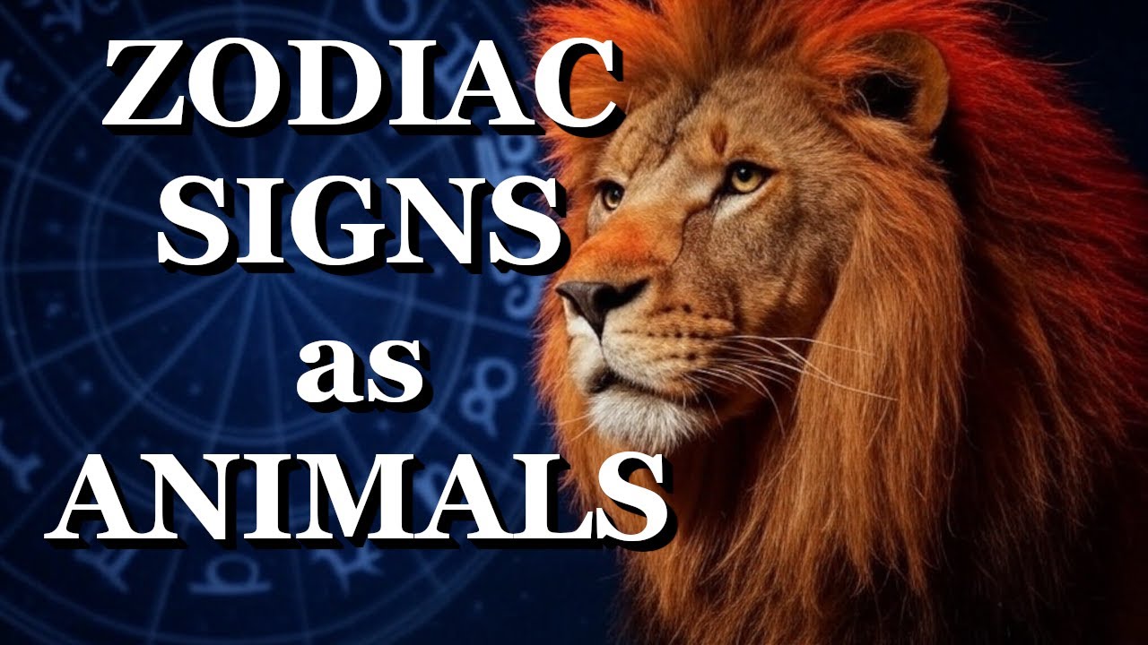 Zodiac Signs as Animals
