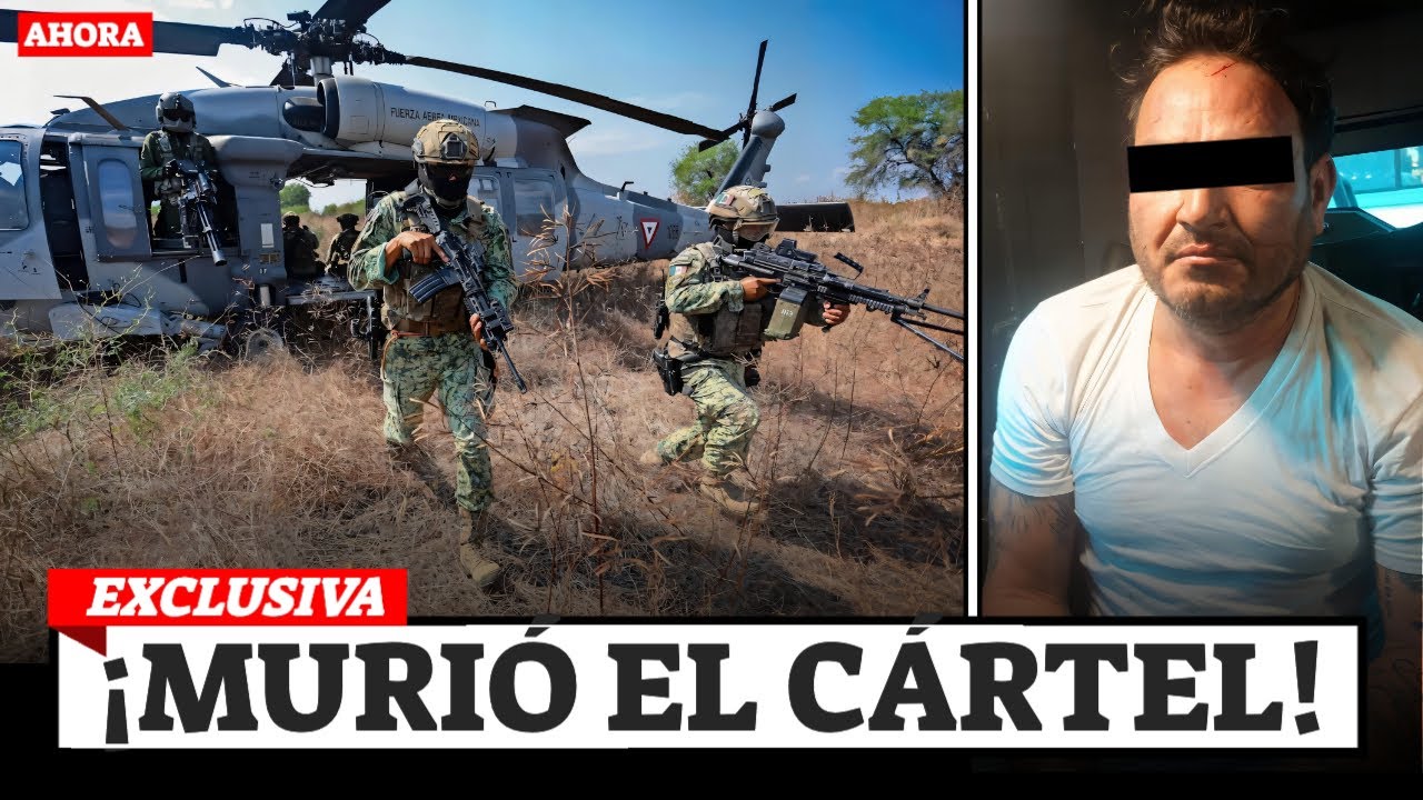 DOCUMENTAL: Así Muere Un Cártel | El Bótox Y Los Blancos De Troya