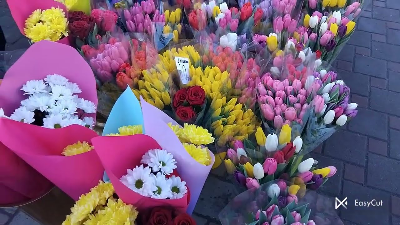 ЗАВТРА ЖІНОЧЕ СВЯТО, ІДУ НА РИНОК, УЗНАЮ  ЦІНУ НА ЖИВІ КВІТИ