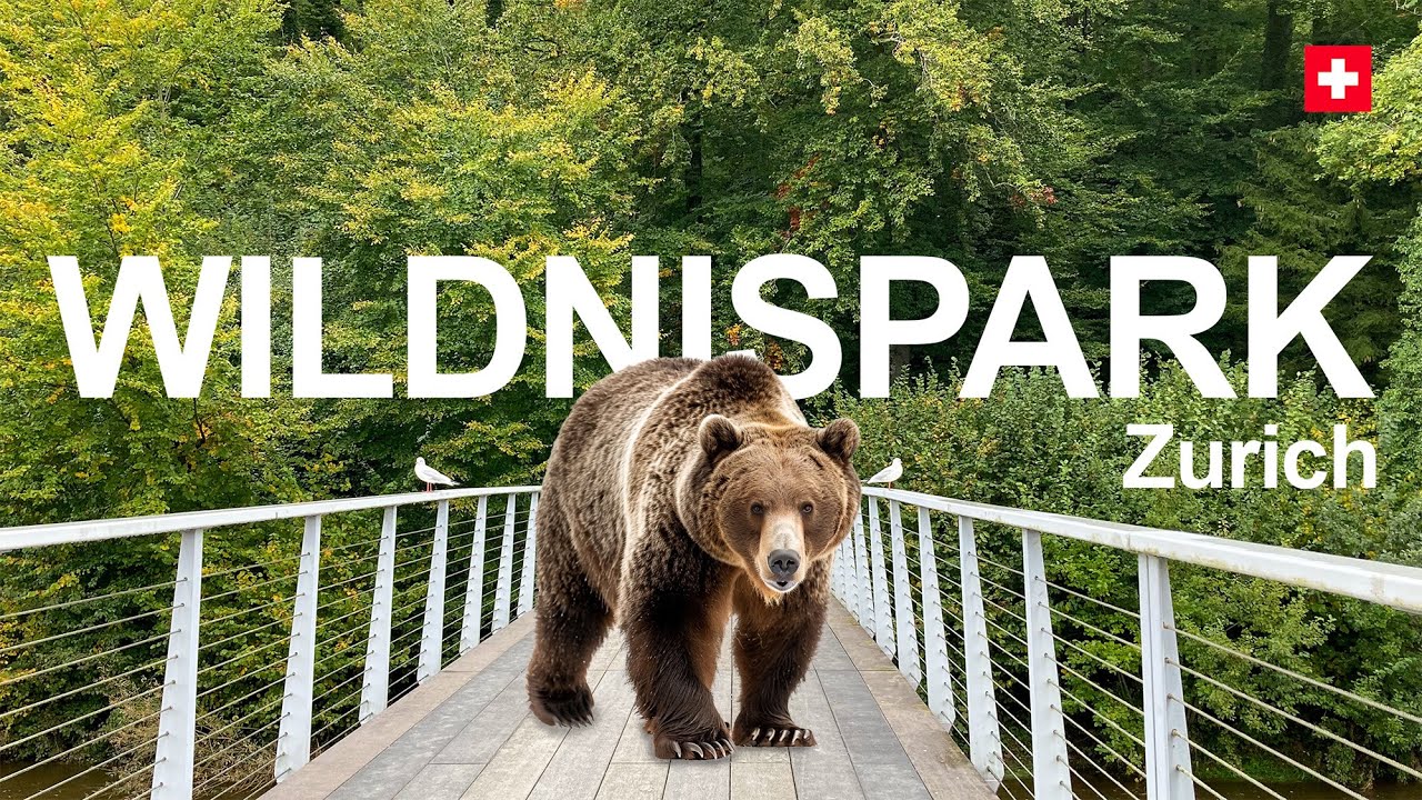 Bears, wolves, and more! Wildnispark Zurich and Sihl River hike. Switzerland. 4K