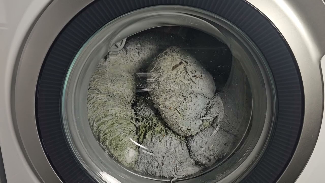AEG Lavamat L7FEE965R | EXTREME 6‑Month Outside Dog Bed Wash 😱🦠 95°C Test