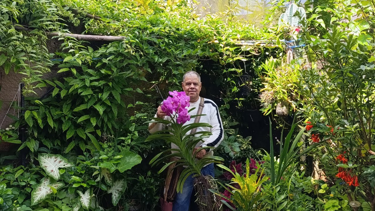MEU DEUS QUANTAS  PLANTAS RARAS NO ORQUIDÁRIO DA MINHA  VIZINHA 😱😱🌺🌵💐🪷😍