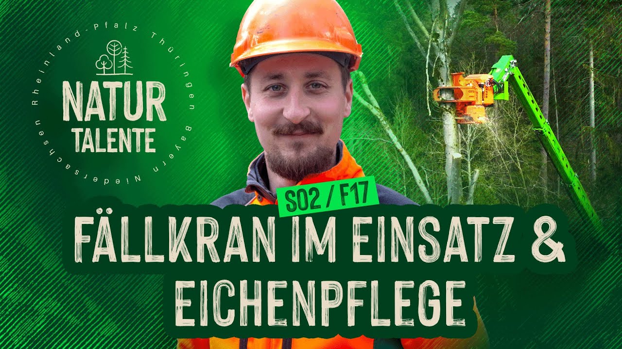 Moderne Technik trifft Waldpflege: F&auml;llkran & Eichenpflege | #NATURTALENTE Folge 17 I Staffel 2