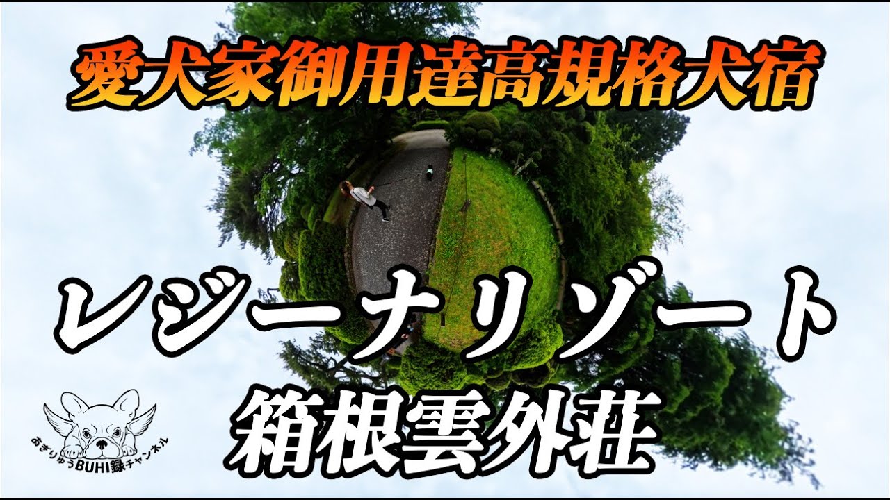 【愛犬とお出かけ＃05】もっと早く行くべきだった犬宿、恐るべしレジーナリゾート雲外荘宿泊、スタッフの対応が過去１だった。