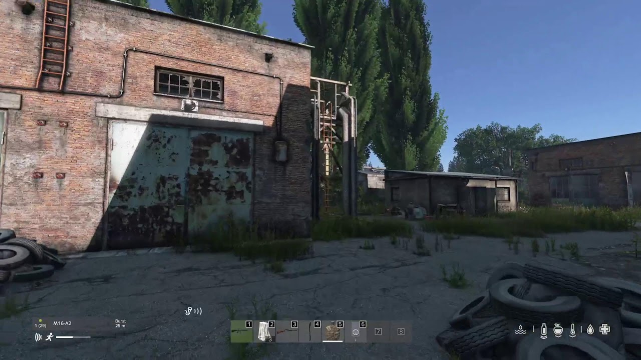Rooster in heybarmby livonia on Dayz