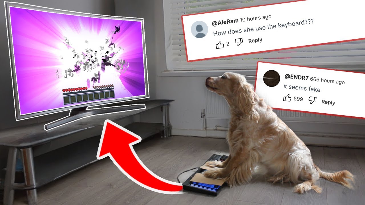 This Is How My Dog Plays Minecraft
