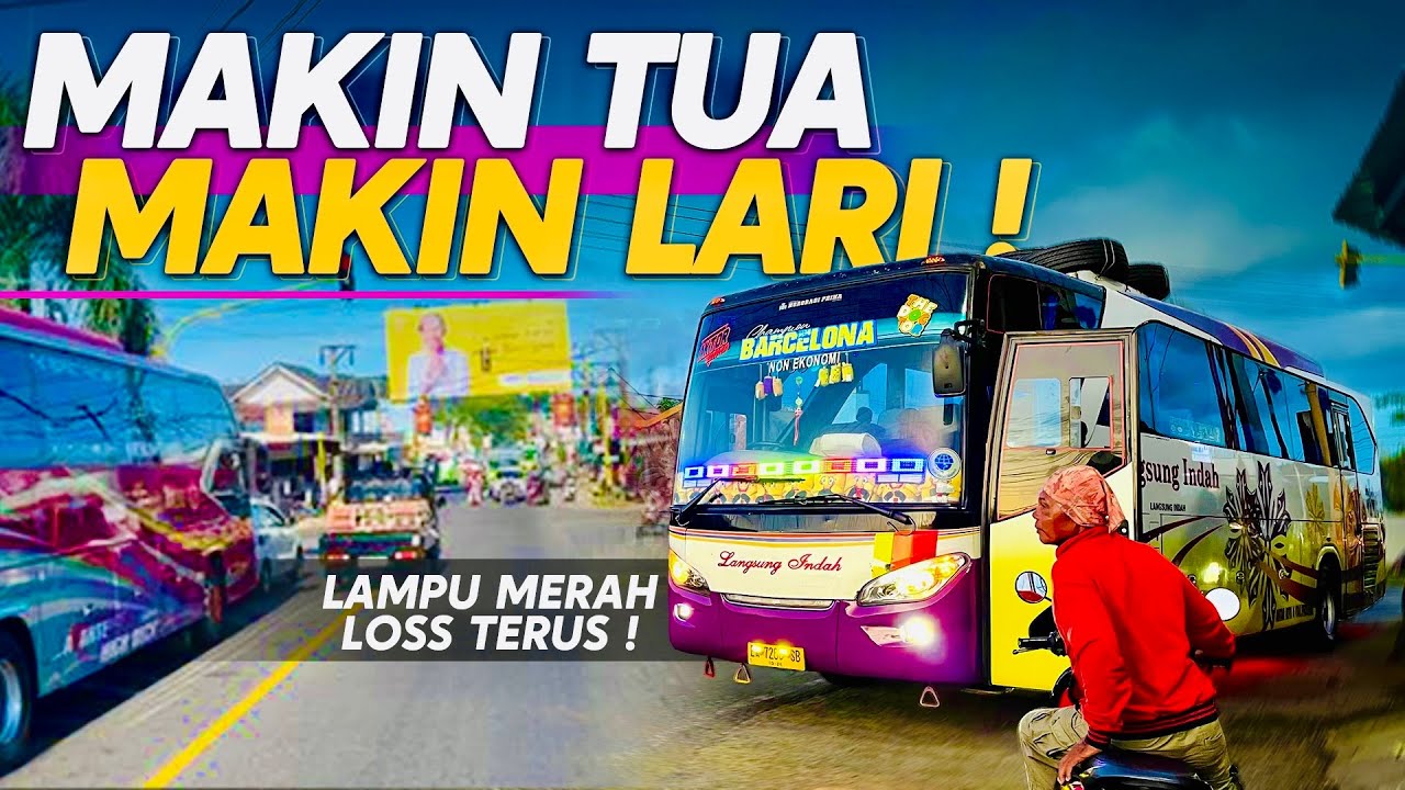 SENSASI BUS LEGENDARIS ASAL KOTA BIMA || Tetap exis di tengah Gempuran bus premium