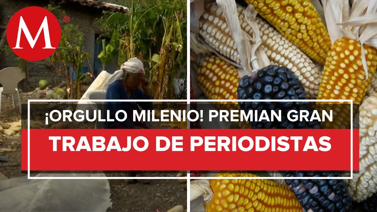 MILENIO gana dos premios Pantalla de Cristal por mejor reportaje y mejor documental