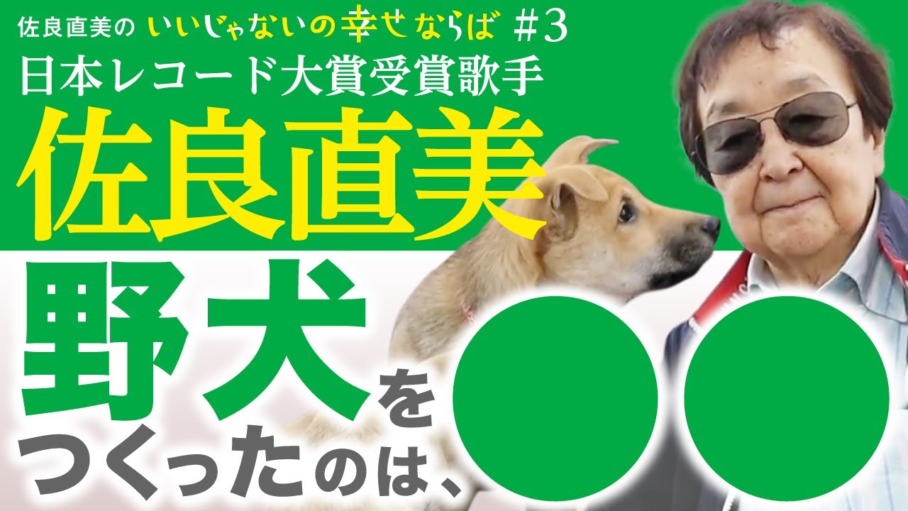佐良直美が助太刀　野犬のピンチ