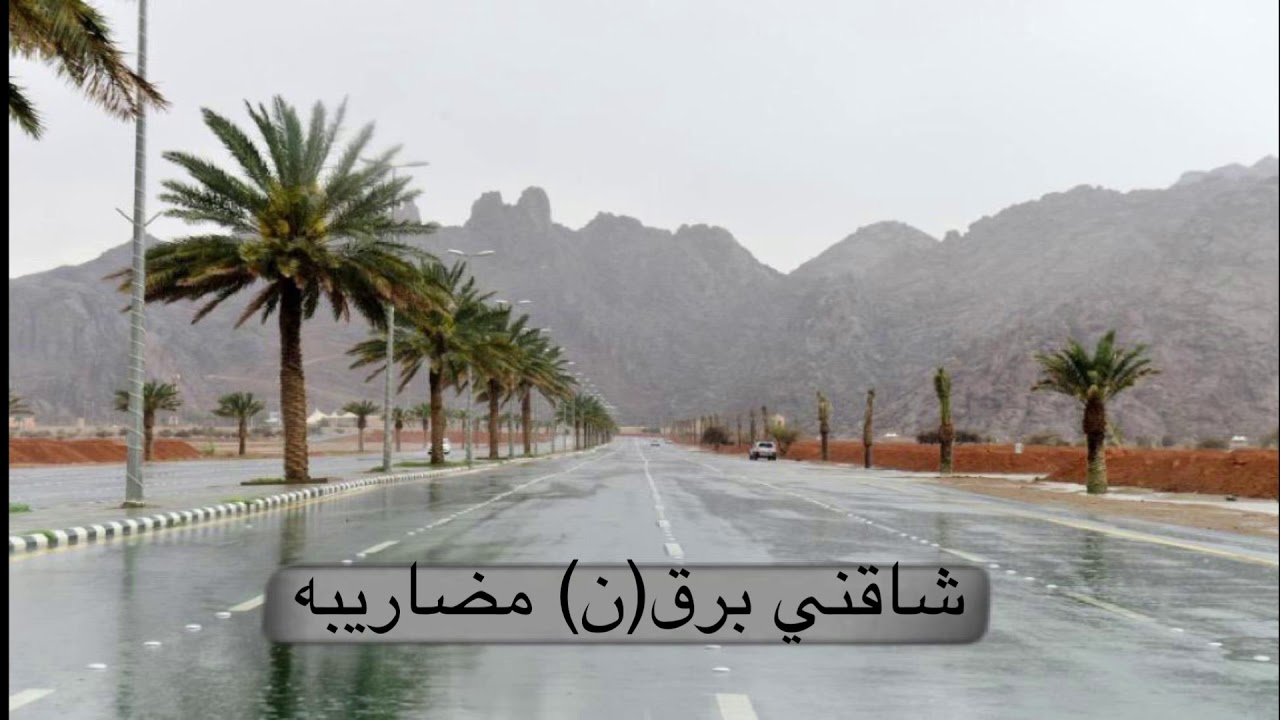 شاقني برق (ن) مضاريبه: عبدالسلام الصعب