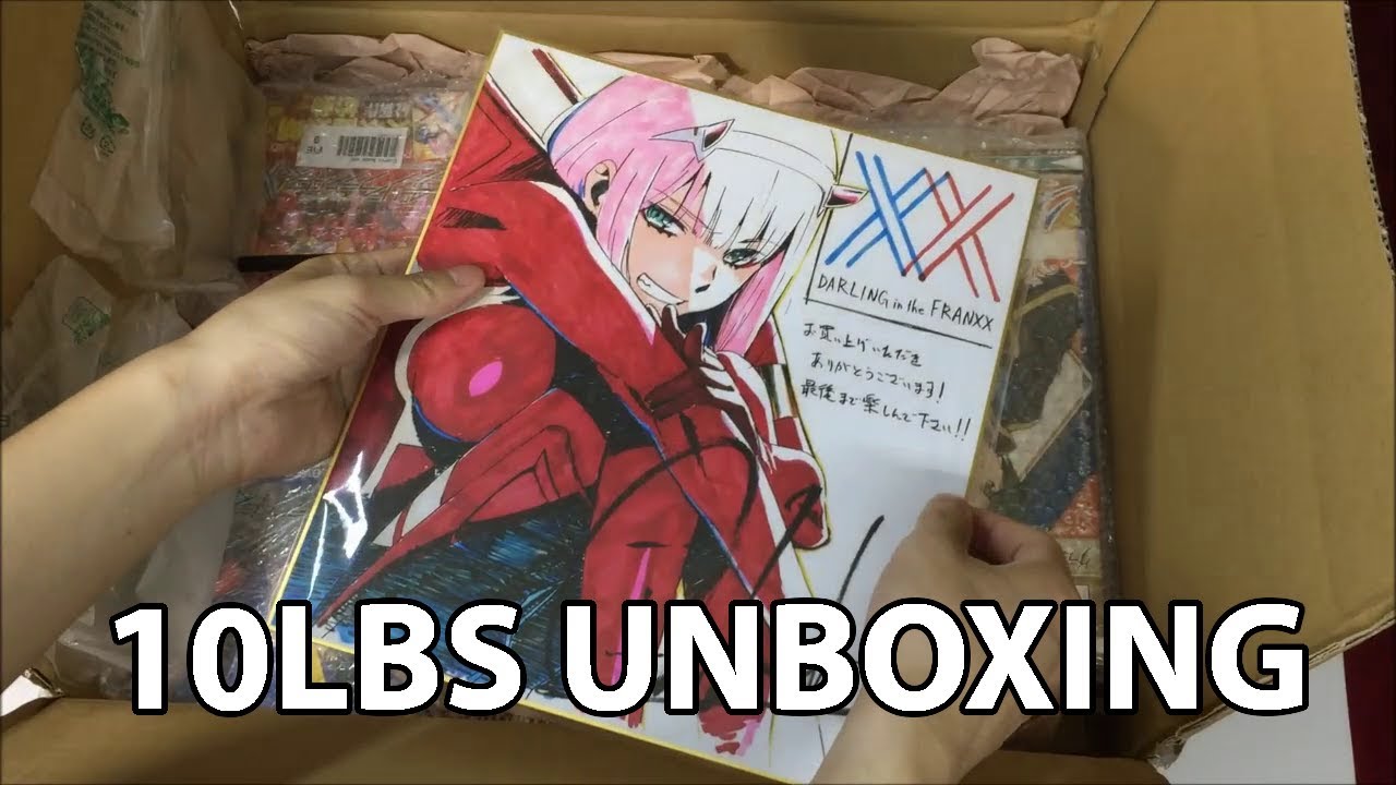 10 POUNDS of Darling in the Franxx merchandise unboxing
