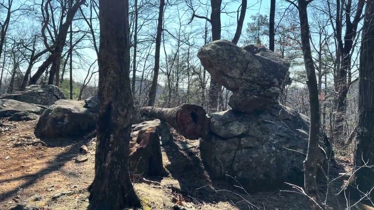 Day 5 Appalachian Trail Jarrard Gap to Swaim Gap 