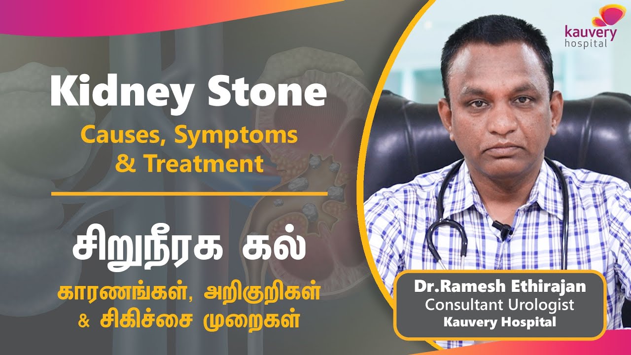 Kidney stones &ndash; Causes, Symptoms and Treatment | சிறுநீரக கற்கள் &ndash; காரணங்கள், அறிகுறிகள் சிகிச்சைகள்