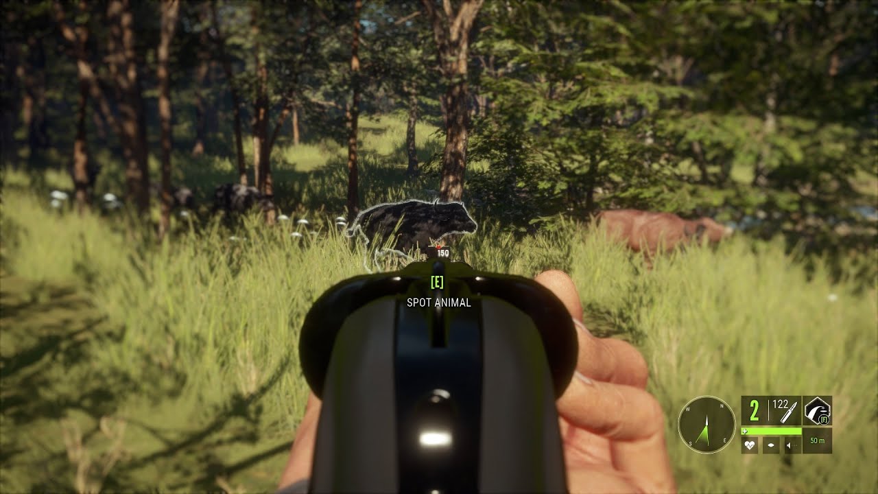 HUR MAN TJÄNAR PENGAR SNABBT I THE HUNTER CALL OF THE WILD