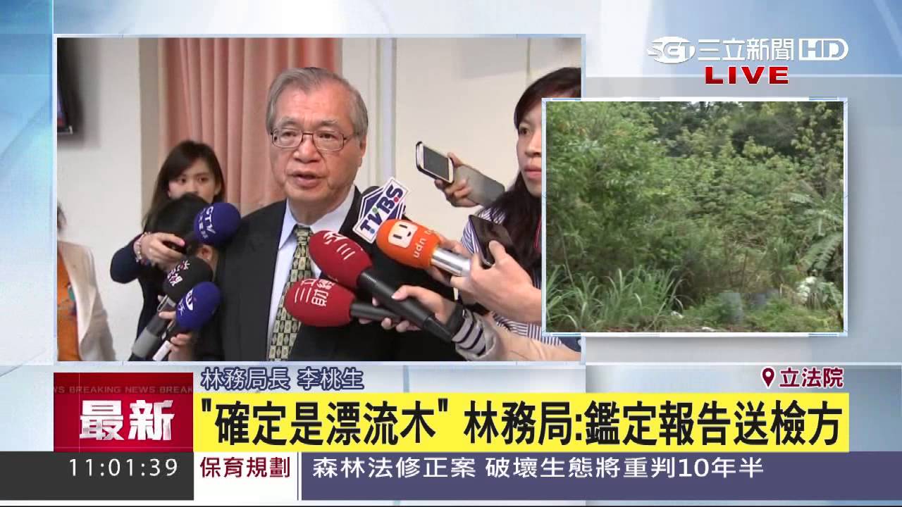 奇幻漂流木　林務局：3次鑑定均漂流木｜三立新聞台