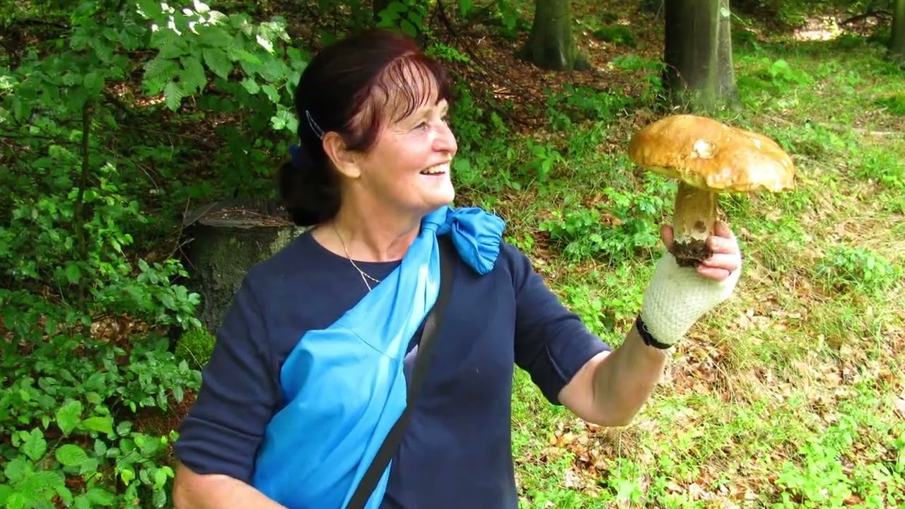 Návraty v čase  2011 - Choltice - Heřmanův Městec