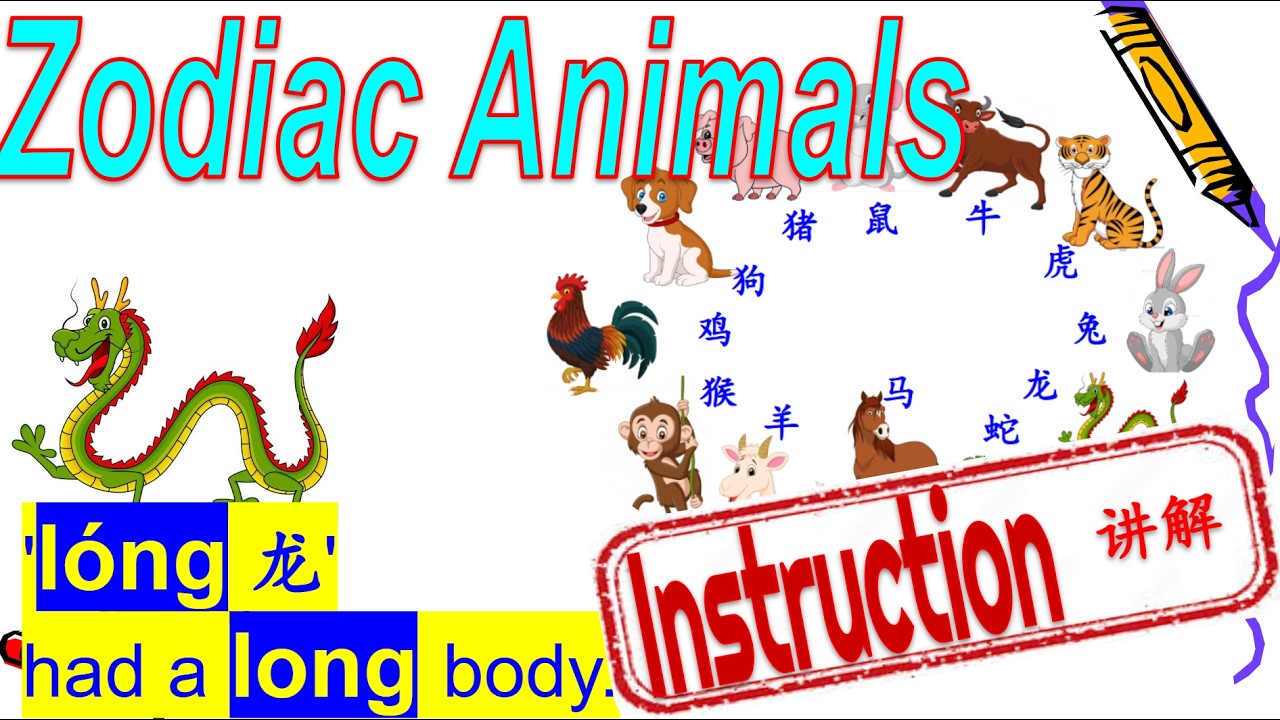 🐉🐓🐅SUPER fast to get Chinese names for 12 Chinese zodiac animals快速记忆十二生肖
