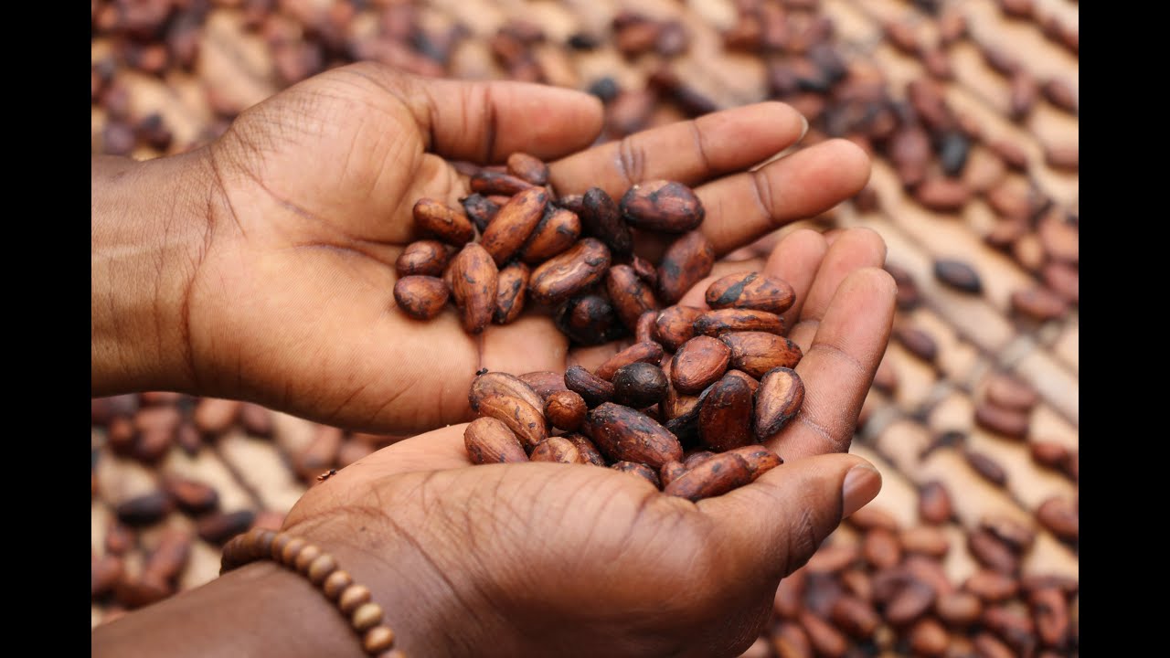 The Parable of the Sower from a first century Jewish perspective