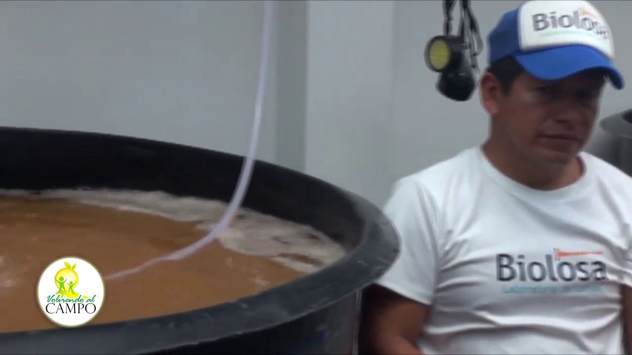 Producción de camarón de agua dulce