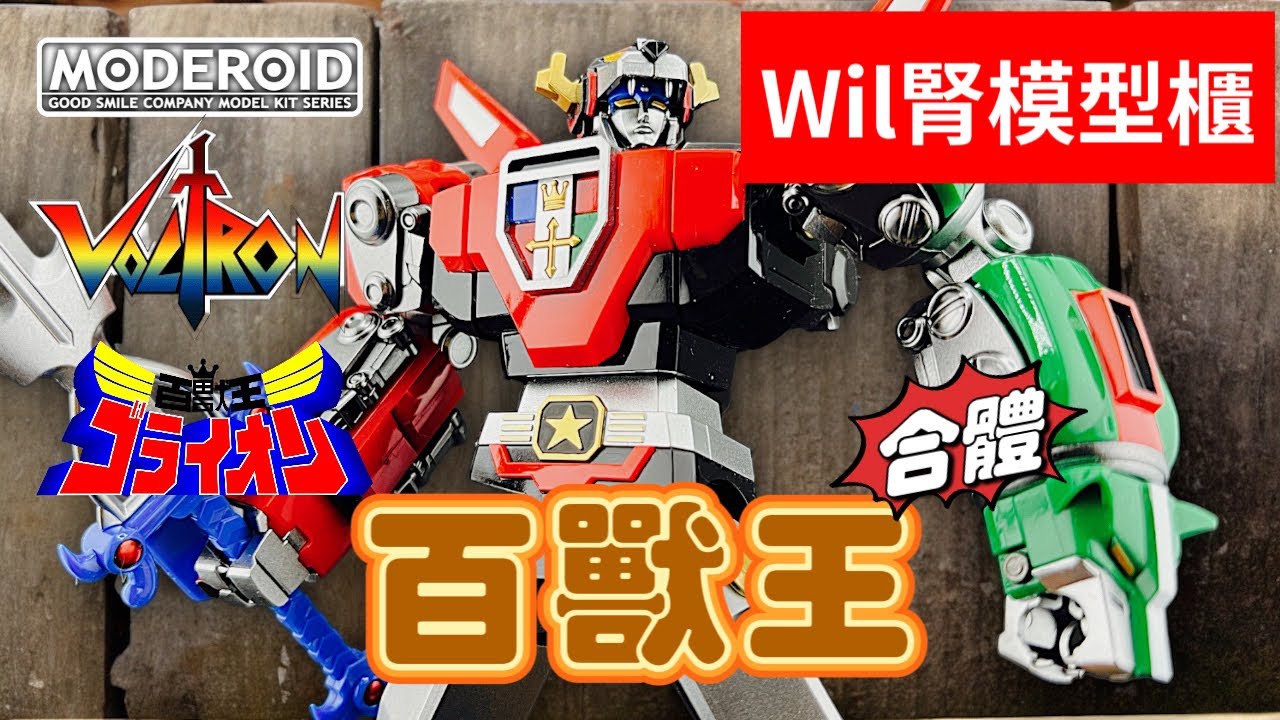 【Wil腎模型櫃】最新模型版百獸王登場！合金風格塗裝Moderoid ゴライオン／Voltron【部份塗裝】
