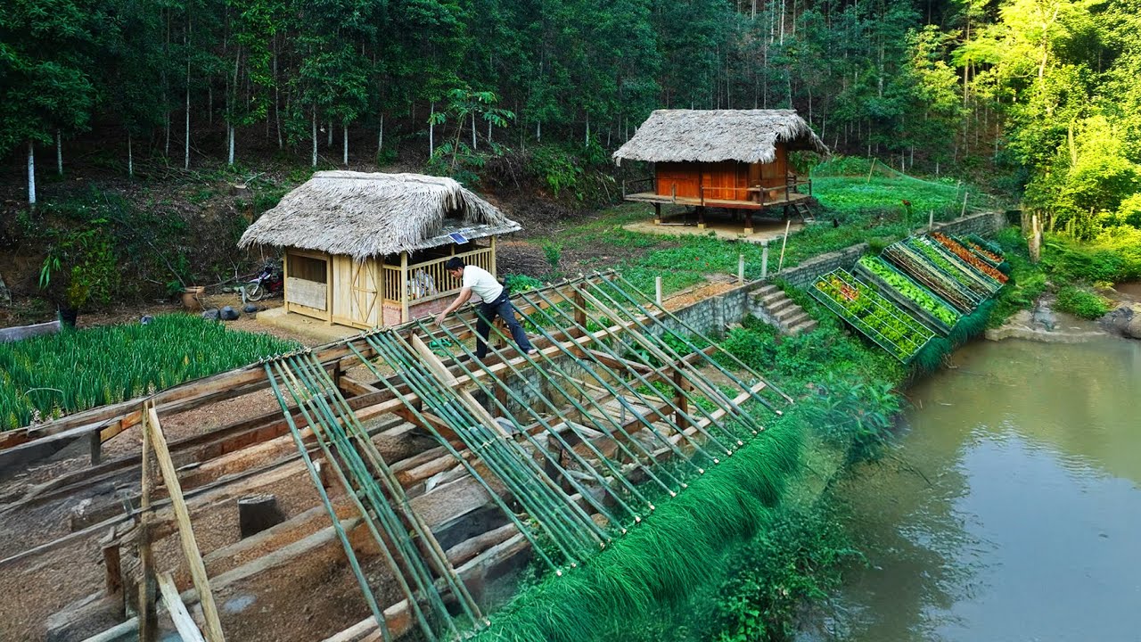 Timelapse: The city in the forest returns after a year, Unexpected development - dream city.