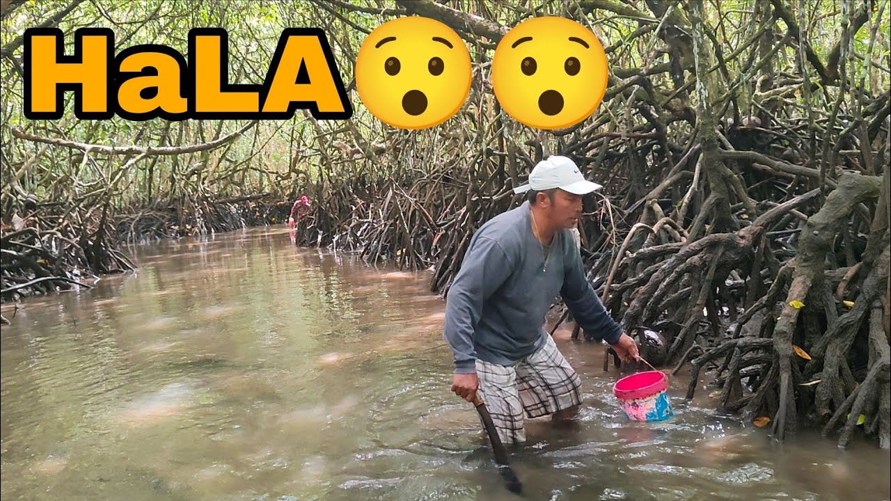 Padagat Mona