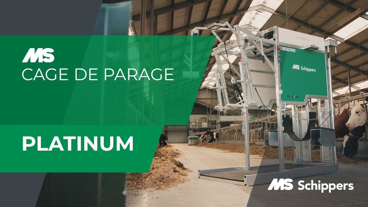 MS Cage de parage Platinum | FR