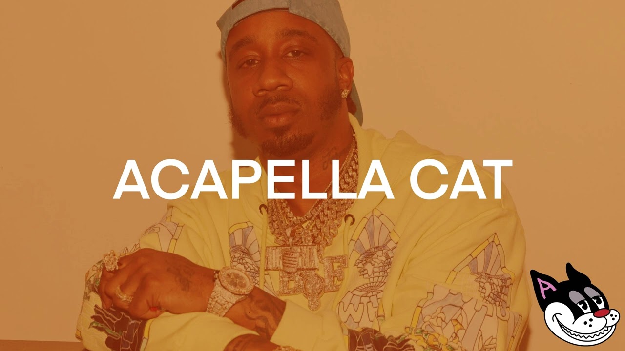Benny the Butcher - Echo Long Acapella 73 BPM - 4K Acapella Cat