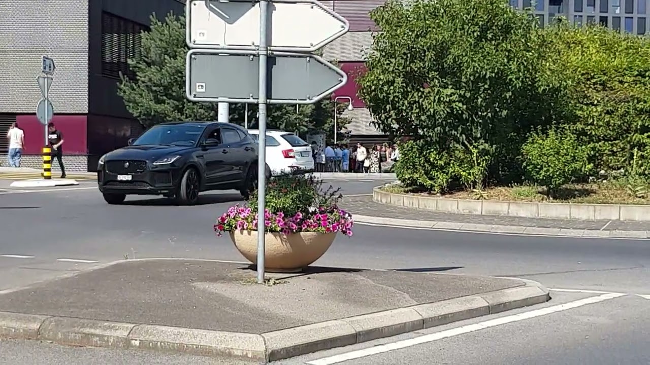 1▪︎لنتجول جميعا رغم ارتفاع درجة الحرارة 🌻 منطقة Chavannes🦜 سويسرا Switzerland 🇨🇭🇨🇭🇨🇭
