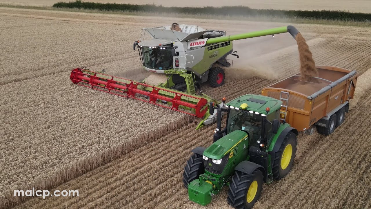 Harvest 2022: Claas Lexion 770 TT cutting wheat on an overcast day in Suffolk