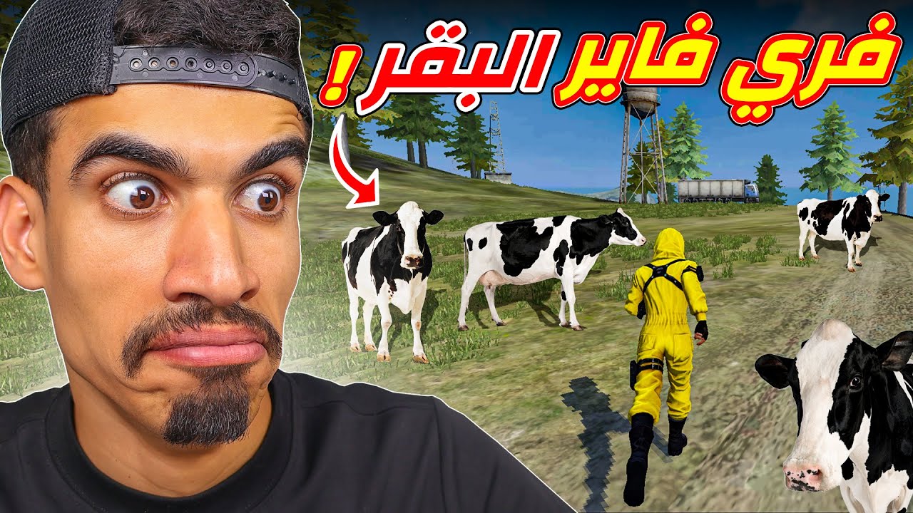 فري فاير صار فيها بقر 😳