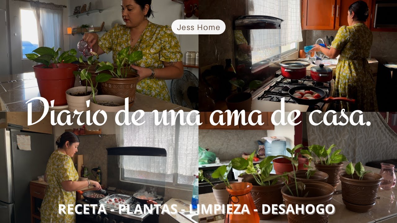 Diario de una ama de casa 💕 |Cumple de mi papá 🎂, perfumes Dossier y un día entre limpieza, plantas.