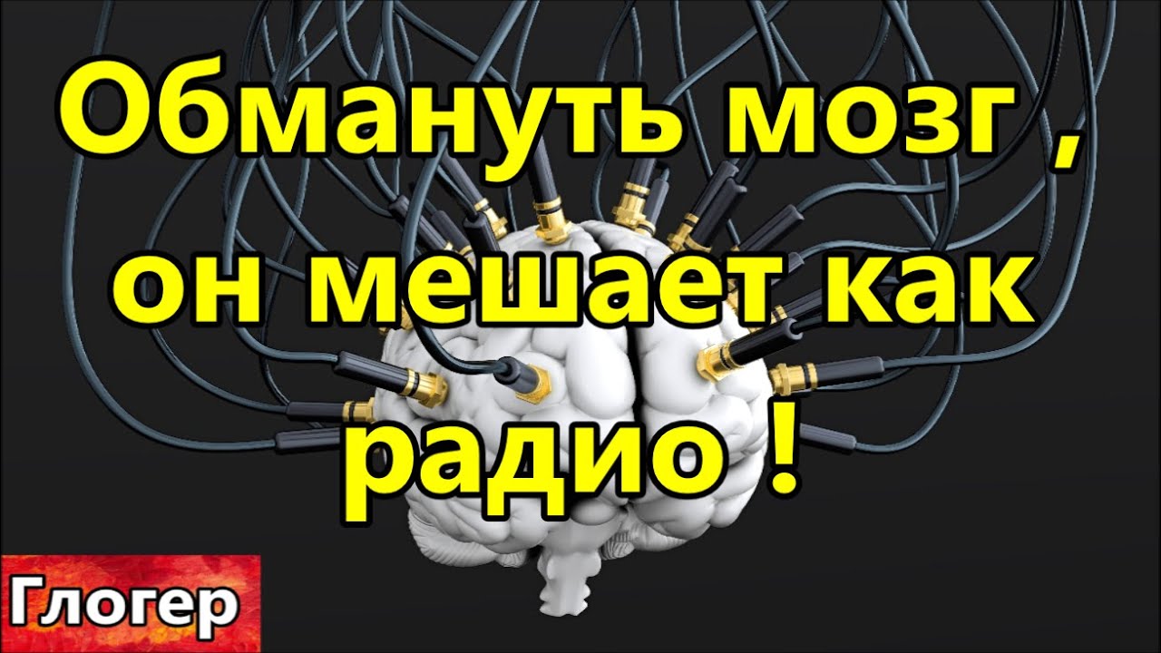 Обмануть мозг ! Ум отвлекает, как постоянно включенное радио !#США  #Америка #Флорида #Майами