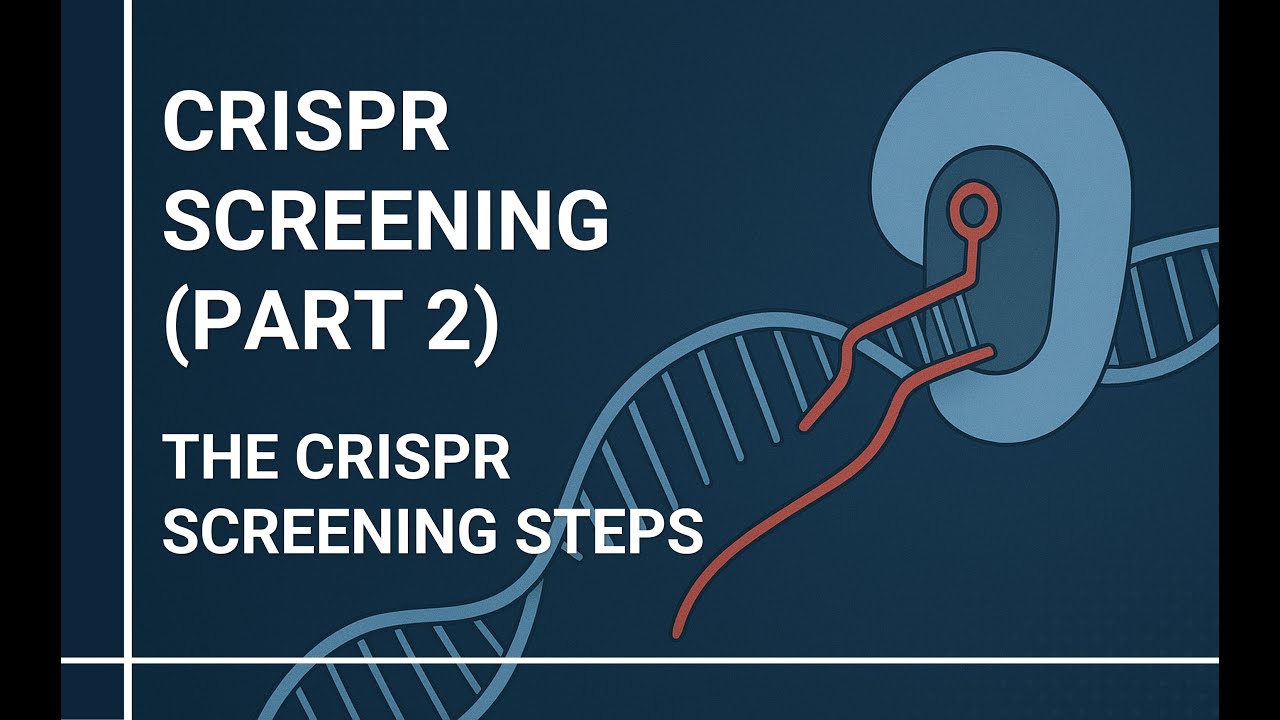 CRISPR Screening (Part 2): The CRISPR Screening Steps
