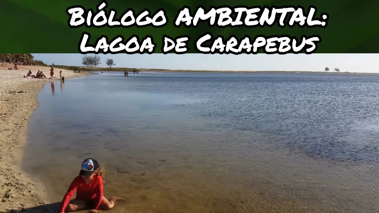 Bi&oacute;logo AMBIENTAL: Lagoa de Carapebus