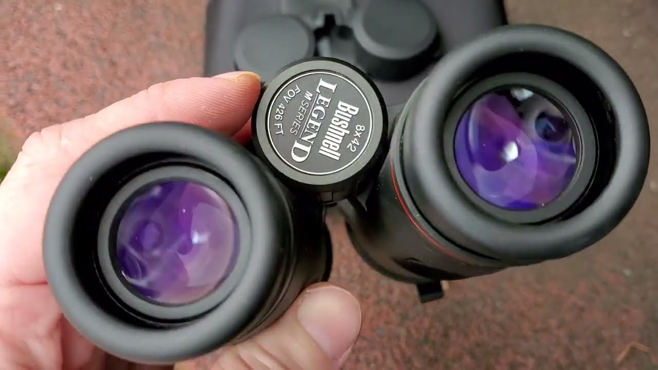 8x42 Bushnell Legend M поле зрения FOV 426ft (142метра) бинокль высокого класса.